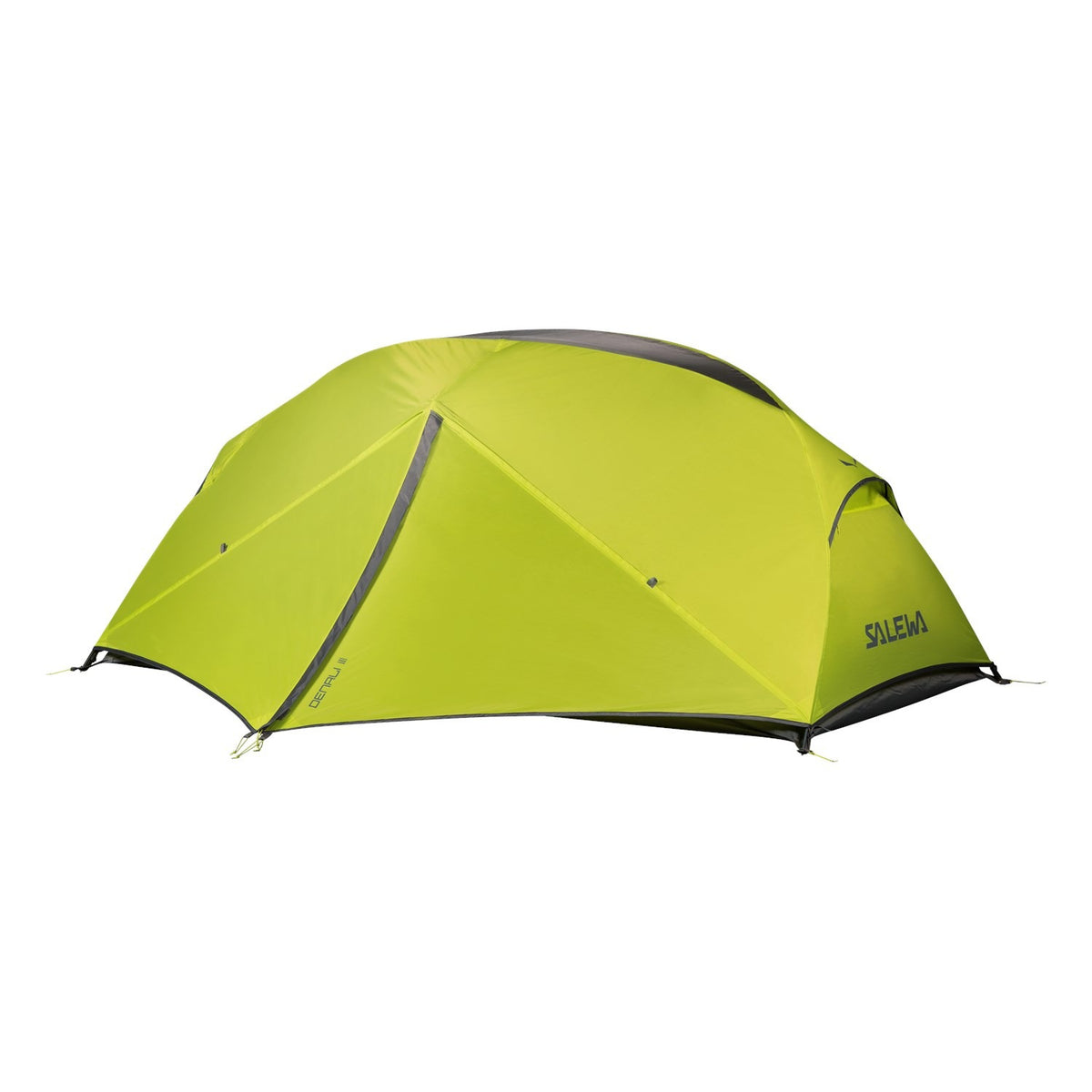 Salewa Denali III - Cactus/Grey